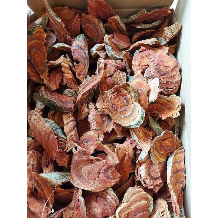 cây huyết đằng khô 1kg