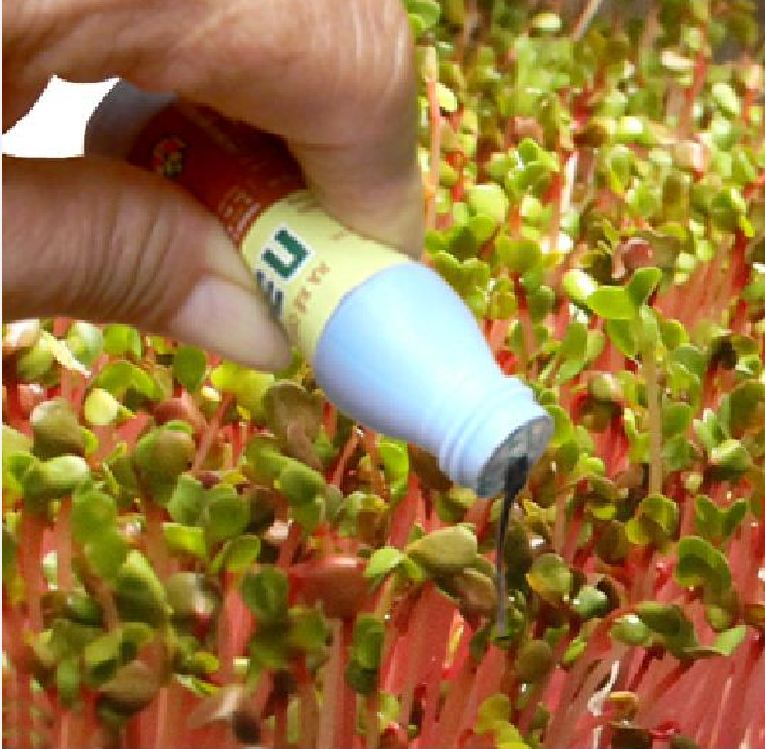 Phân Bón Lá Ra Rễ Cực Mạnh N3M - 1 lọ 20ml