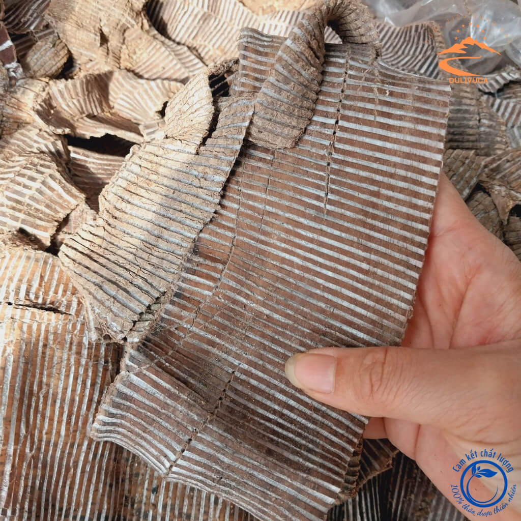 đỗ trọng nam khô 1kg
