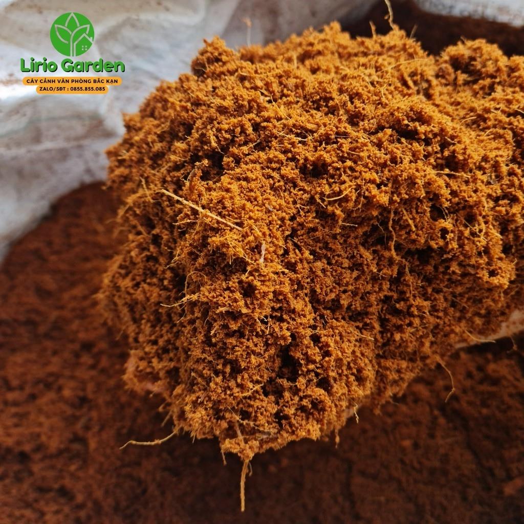 1kg xơ dừa xay
