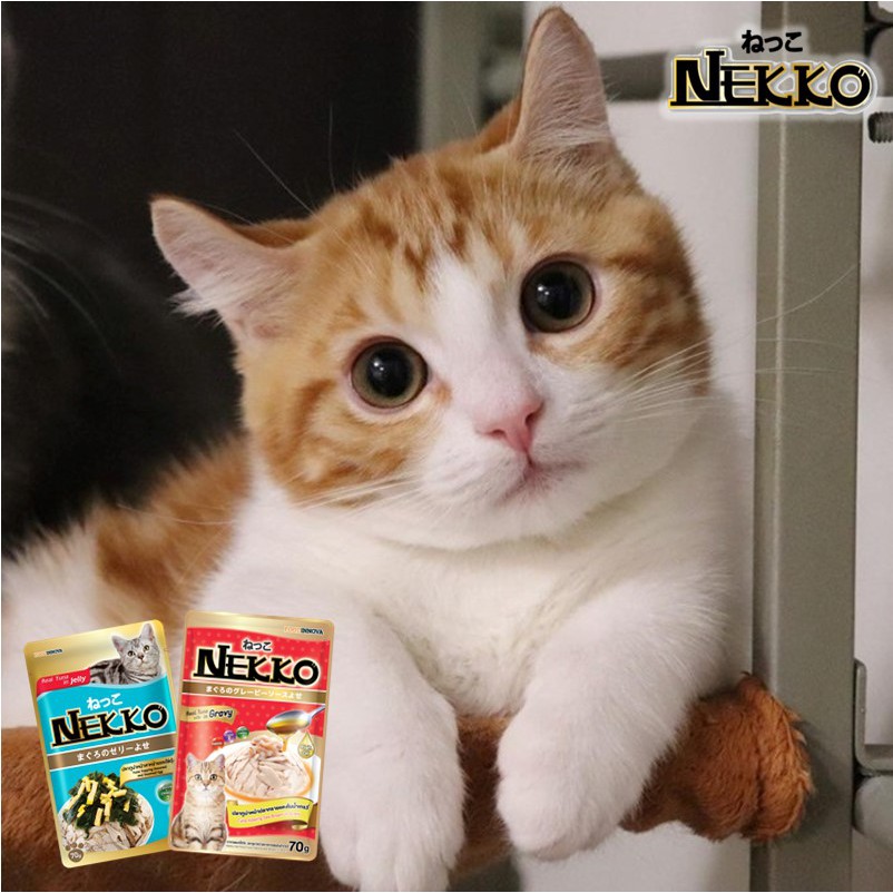 Pate Nekko Thạch Jelly Cho Mèo Mọi Lứa Tuổi (70g)