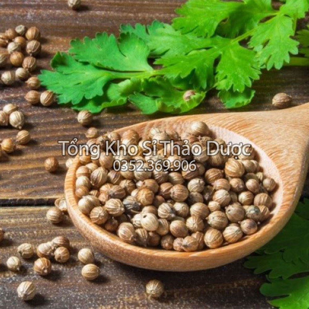 Dried Coriander Seeds 100g (Coriander Seeds, Spice for Making Pho)