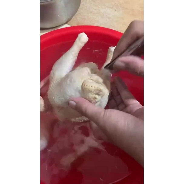 Nhíp Nhổ Lông Gà Vịt Đa Năng 2 Trong 1