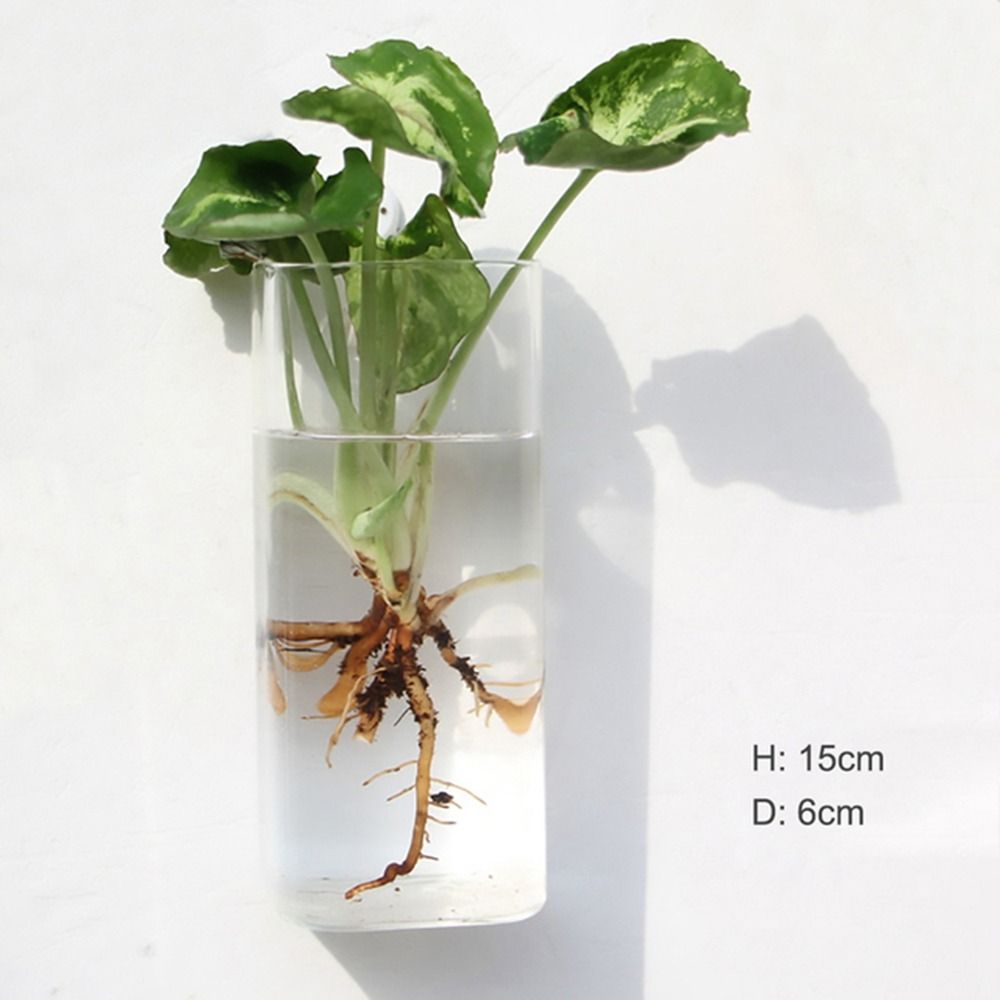 Creative Multi-style European-style Wall-mounted Hydroponic Glass ...