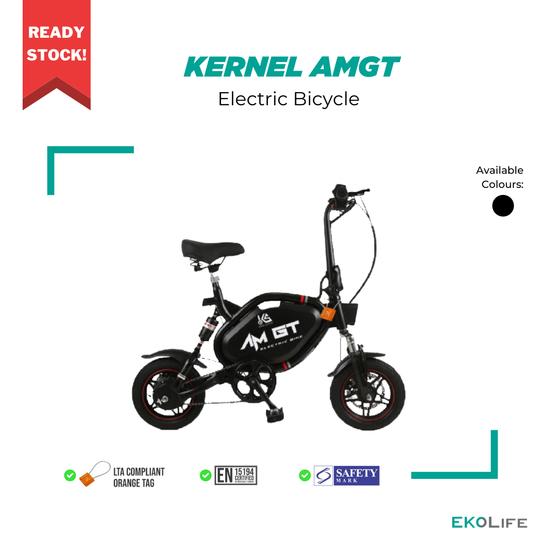 am gt ebike