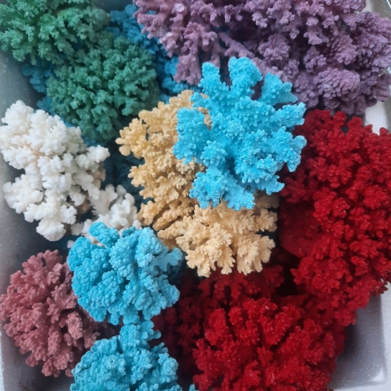 San Hô Tự Nhiên phủ acrylic
