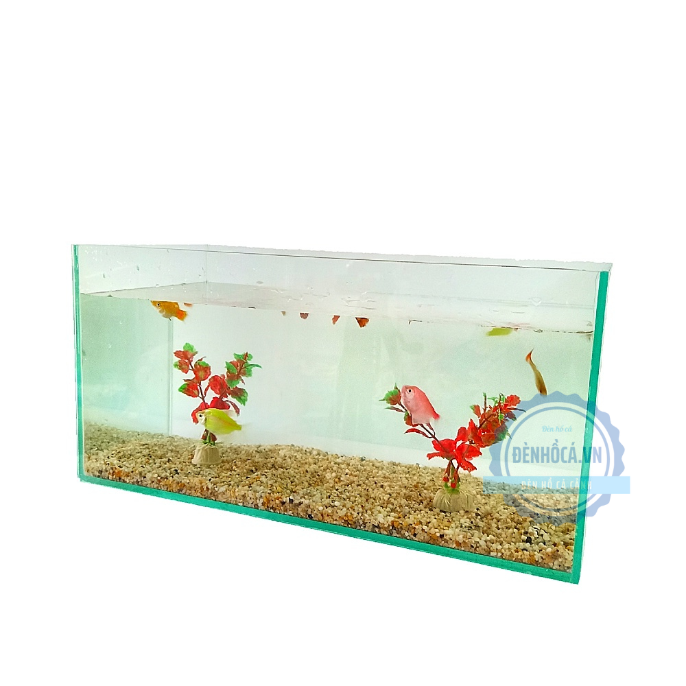 Bể cá mini 40cm COMBO đầy đủ phụ kiện