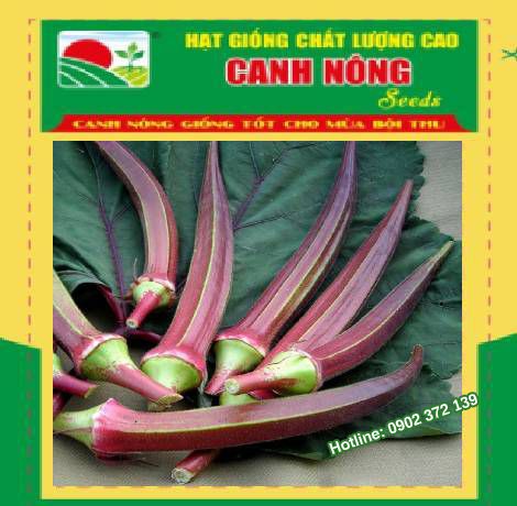 Hạt giống đạu bắp tím 20gr