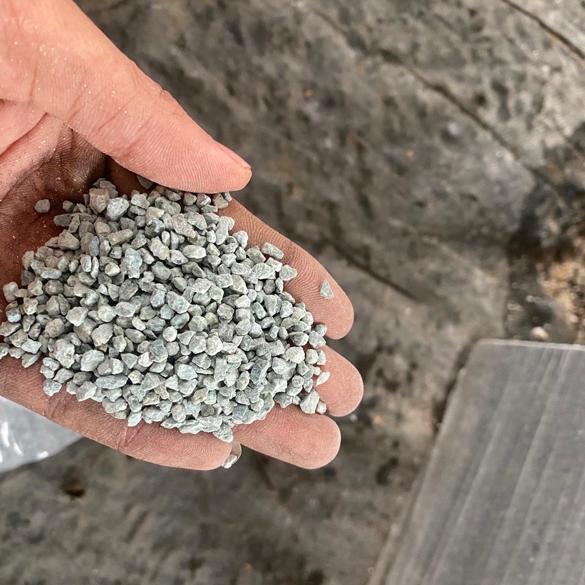 Đá zeolite đá trộn giá thể trồng sen