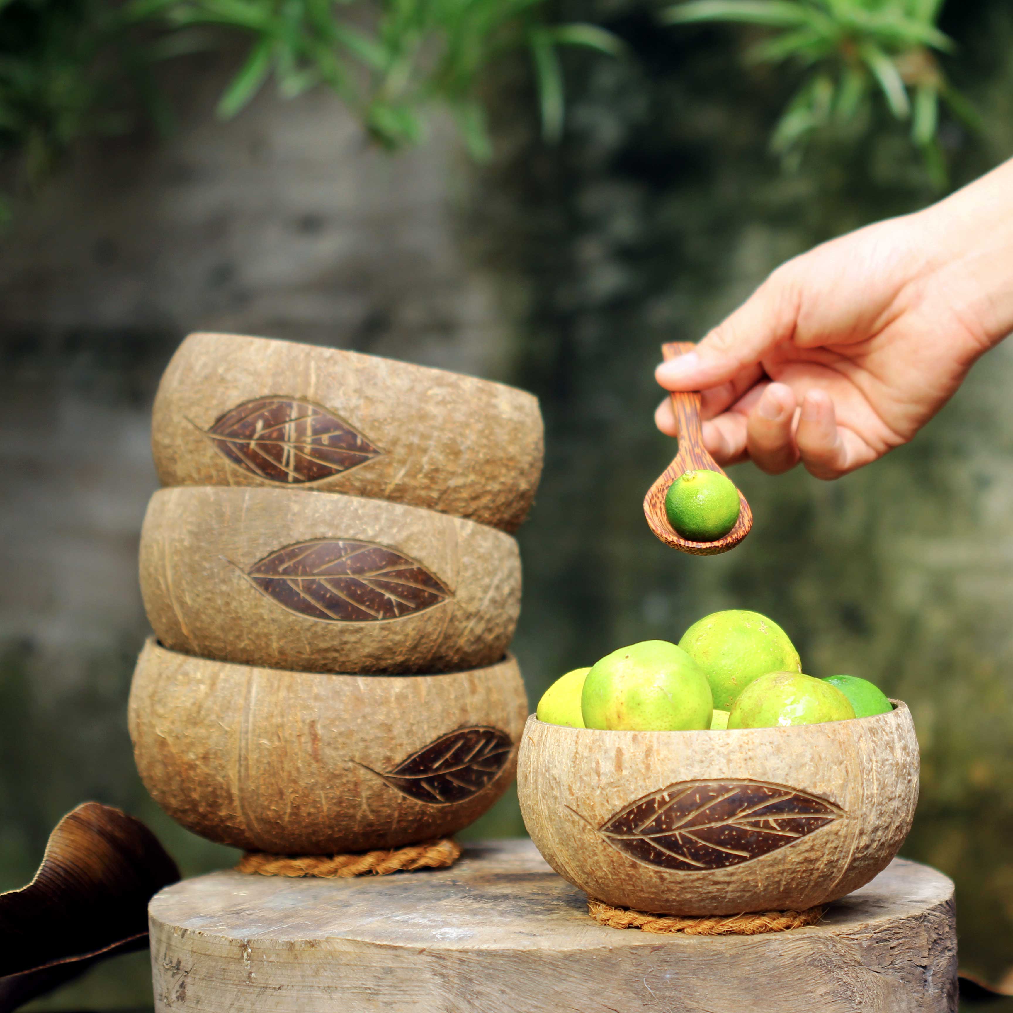 [Chuẩn xuất khẩu]Tô (Bát) gáo dừa hoa văn Cetus [Cetus Pattern Coconut Bowl]