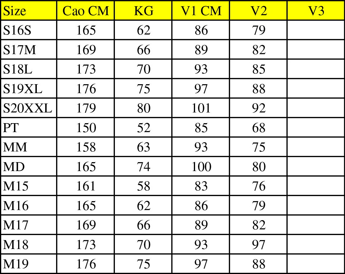 Rập Giấy LL015 - Sơmi cổ trụ, tay liền