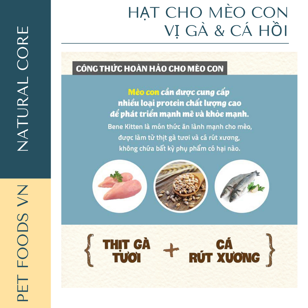 Hạt cho mèo con NATURAL CORE KITTEN