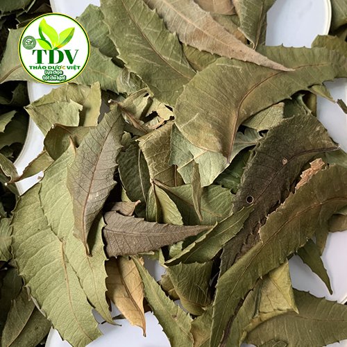500g Lá nguyệt quế ( lá thơm ) làm gia vị