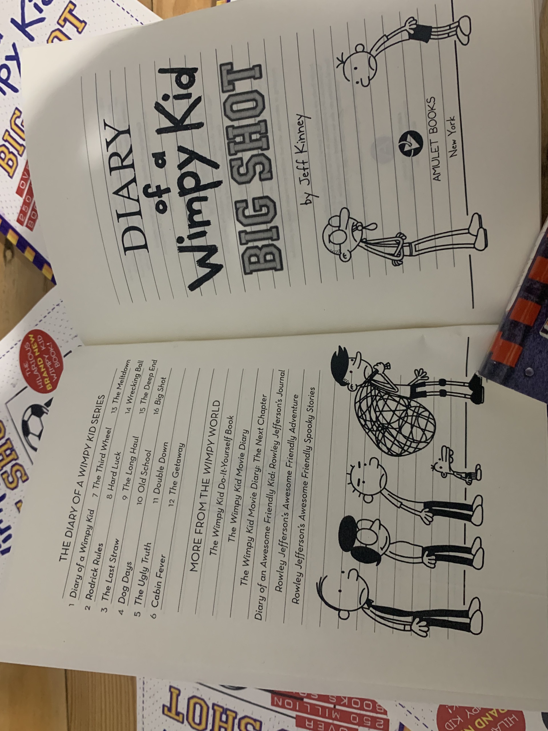 Diary Of A Wimpy Kid 16: Big Shot