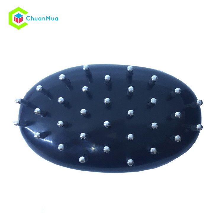 Bàn Chải Tiên Và Đồng Láng Lớn - Dụng Cụ Diện Chẩn ( Phụ Kiện VinaMassage Điện Chấn Nhấn Huyệt Ma Lược Chuẩn Chân ) | ChuanMua GDA170