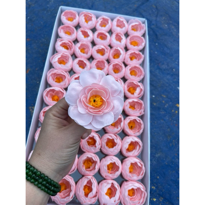 HOA SÁP MAO LƯƠNG”hoa trà”( hộp 50 bông)