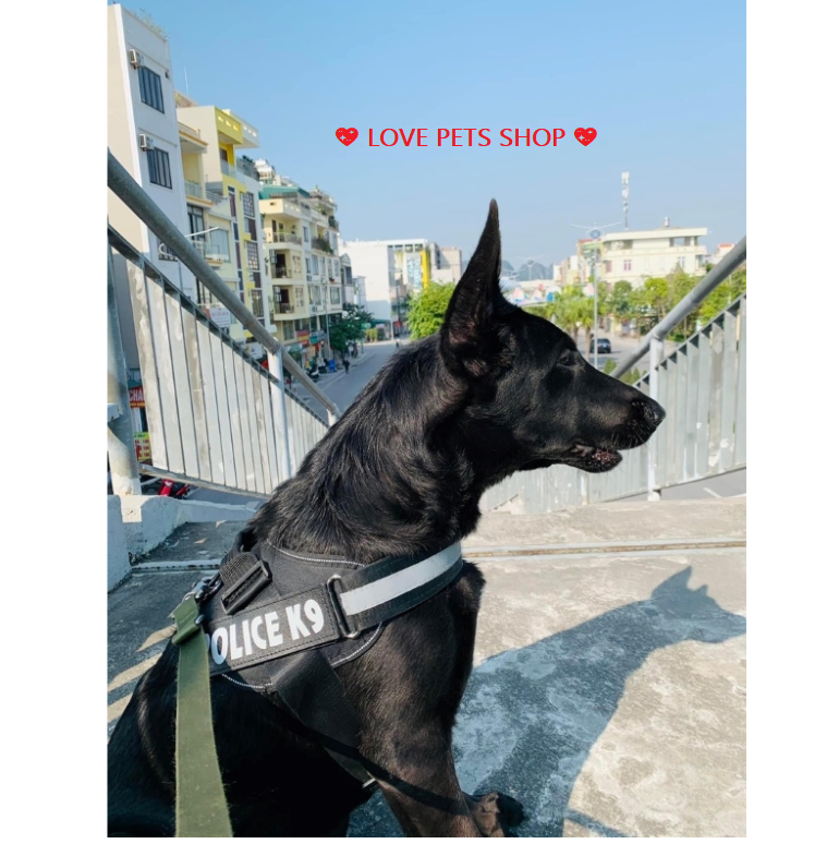 Đai yếm ngực cho Chó poli.ce K9 (không kèm dây dắt) - Love pets shop