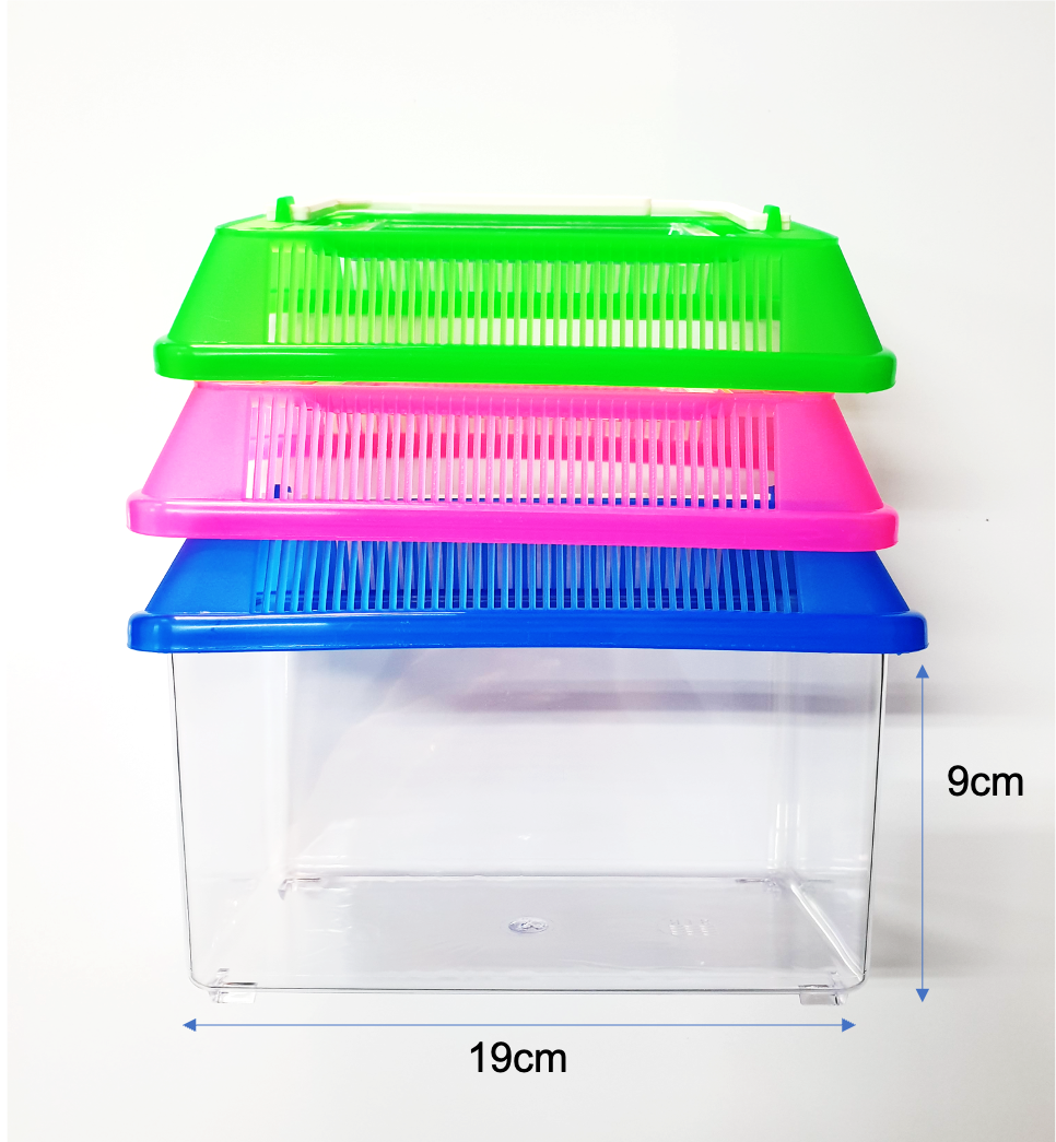 Guppy Plastic Tank / Small Pet Home / Fish Aquarium Betta Tank Turtle ...