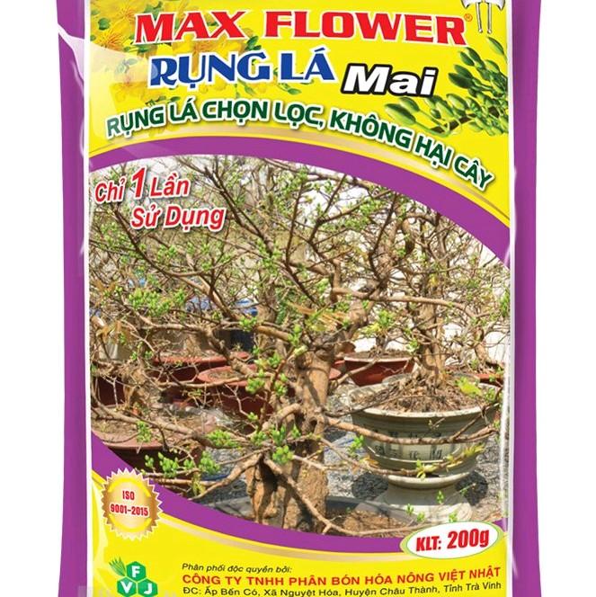 RỤNG LÁ MAI 100G