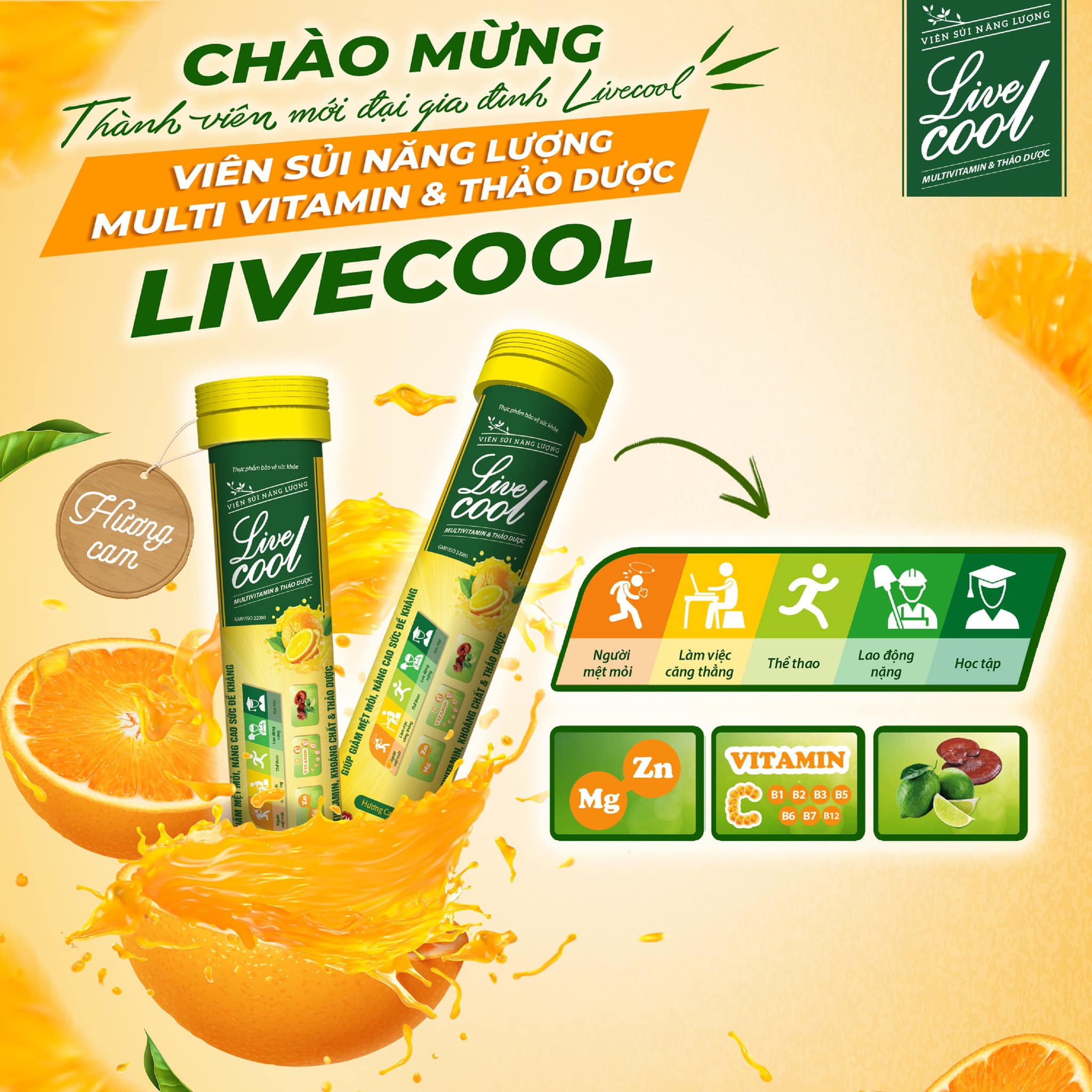 Viên sủi - Bột sủi thanh nhiệt Livecool