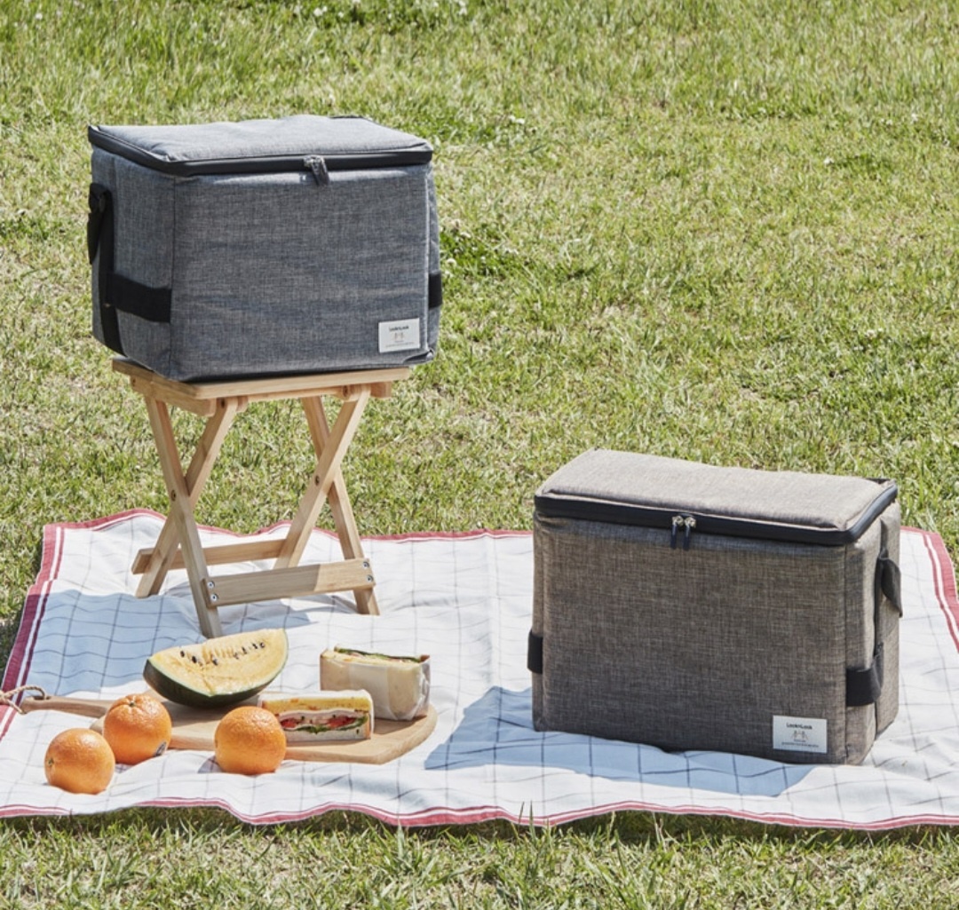 LocknLock Lock&Lock Airlock Cooler Bag 20L Khaki Lazada PH