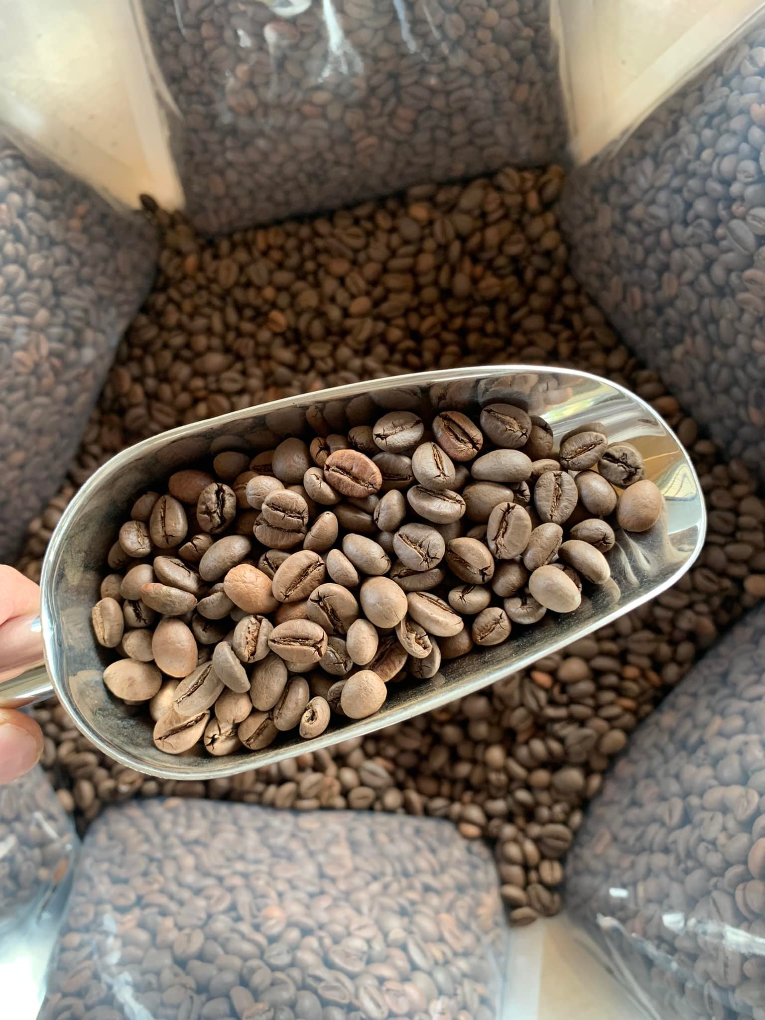 Cà phê Robusta mộc , nguyên chất 100%!