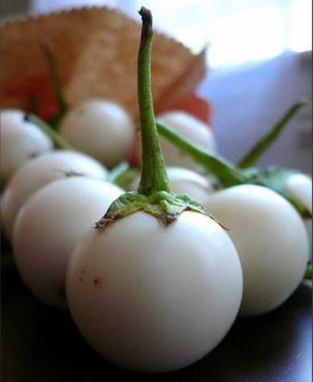 Hạt giống cà pháo trắng - gói 1 gram