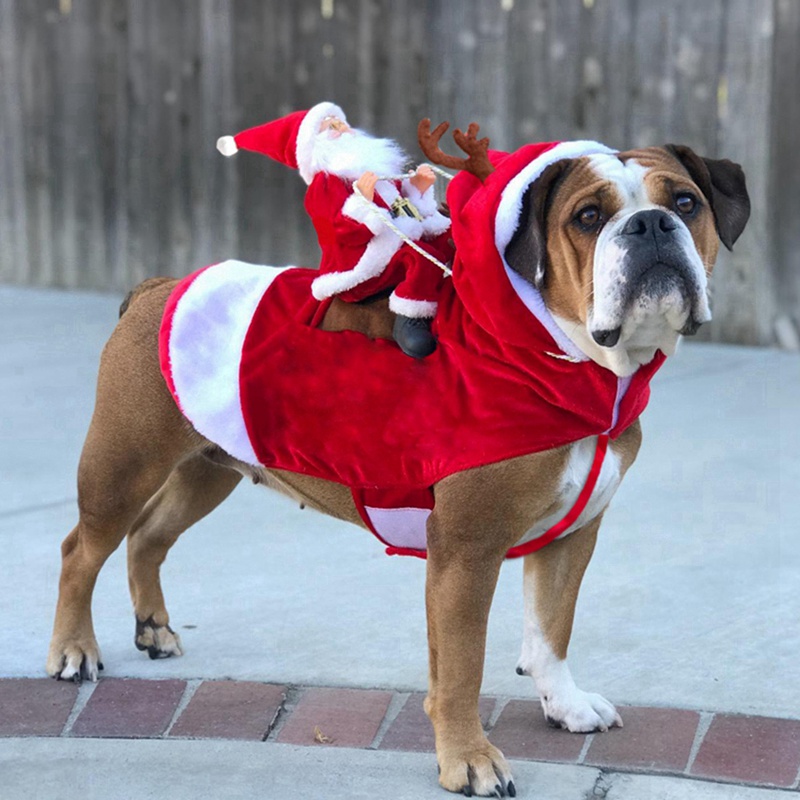 large dog christmas toys