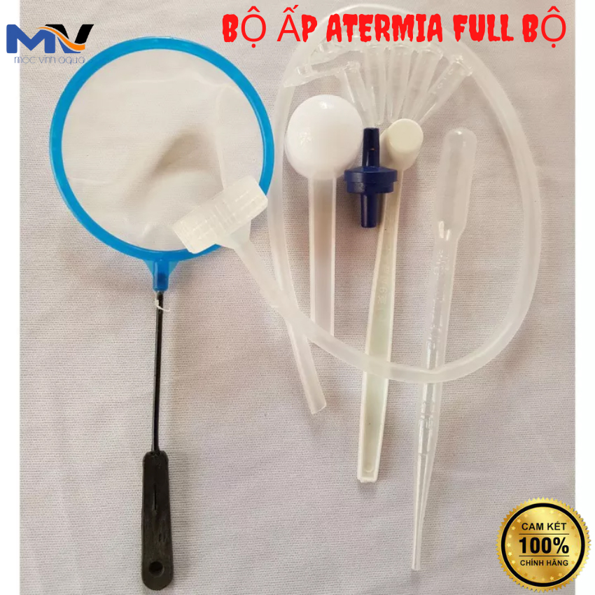 Bộ dụng cụ ấp artemia đầy đủ
