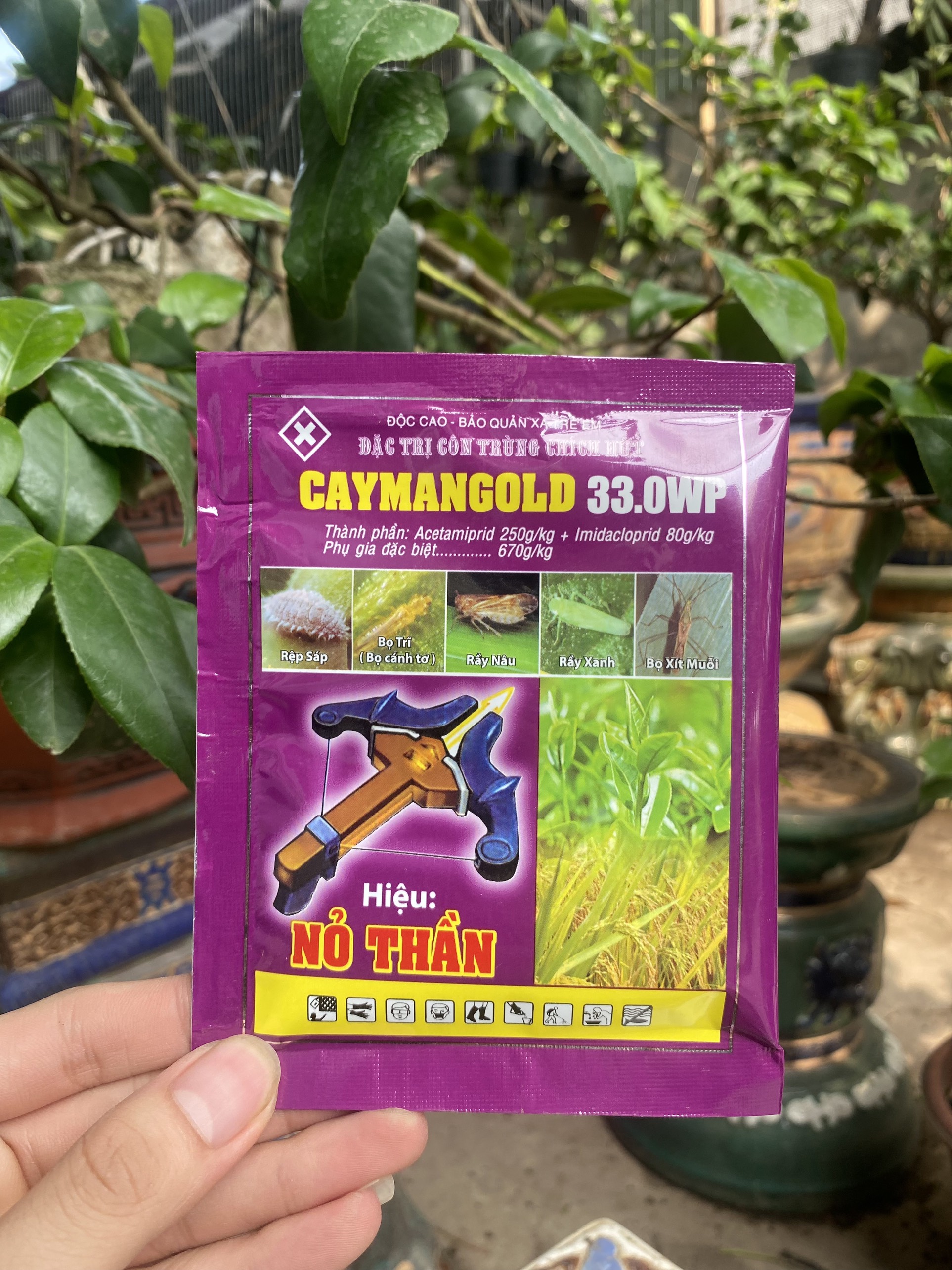 Đặc Trị Côn Trùng Chích Hút Caymagold – Nỏ Thần