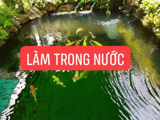 (FREESHIP) Men Vi Sinh Bio Fish Koi 1000ml (men vi sinh được tin dùng cho hồ cá koi)