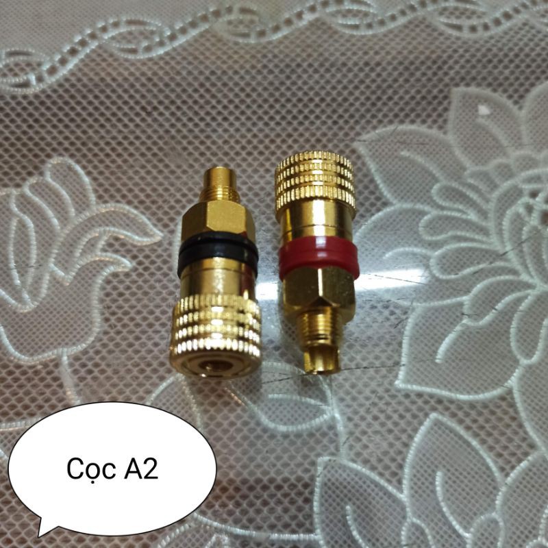 Cặp cọc đồng M8 lắp vỏ acquy