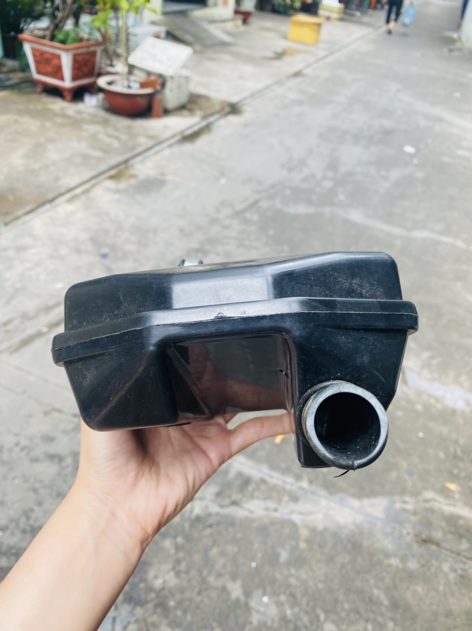 PÔ E ( BAO TỬ ) MAX 3 TRUNG QUỐC