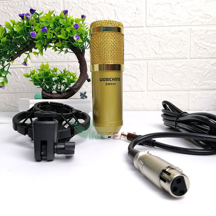 Micro thu âm BM900