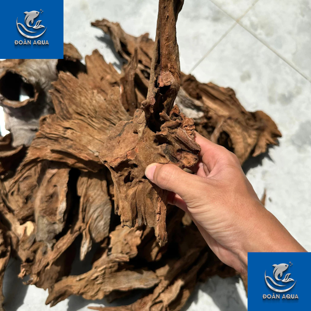 Lũa trang trí thủy sinh 1kg