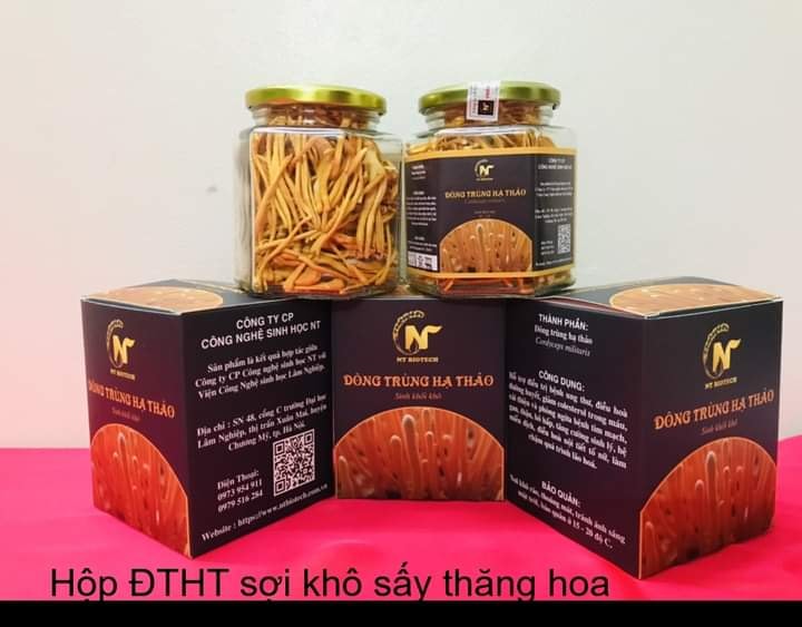 ĐÔNG TRÙNG HẠ THẢO
