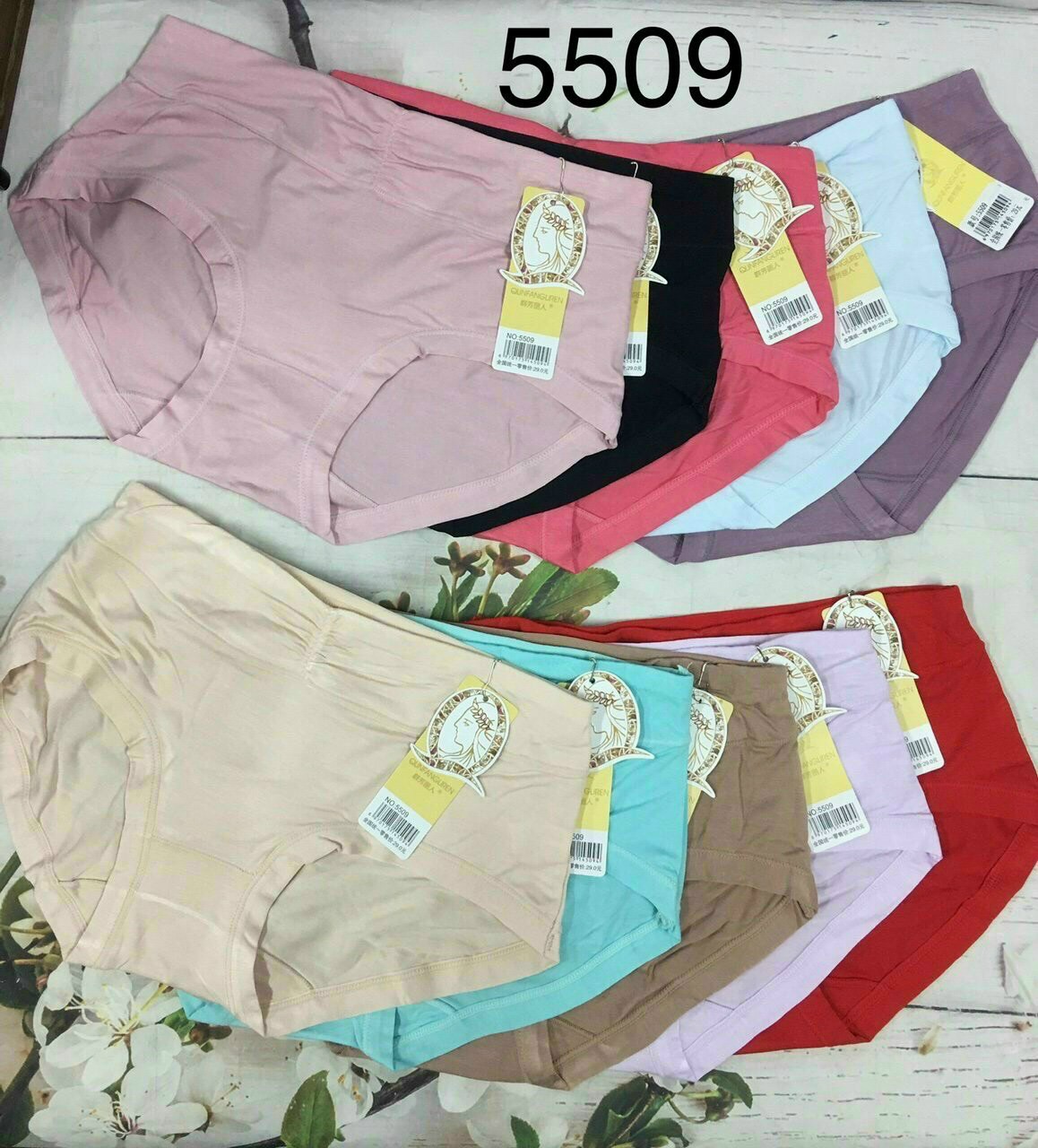 [5509]combo 5 quần lót nữ cotton cao cấp 45kg đến 60kg
