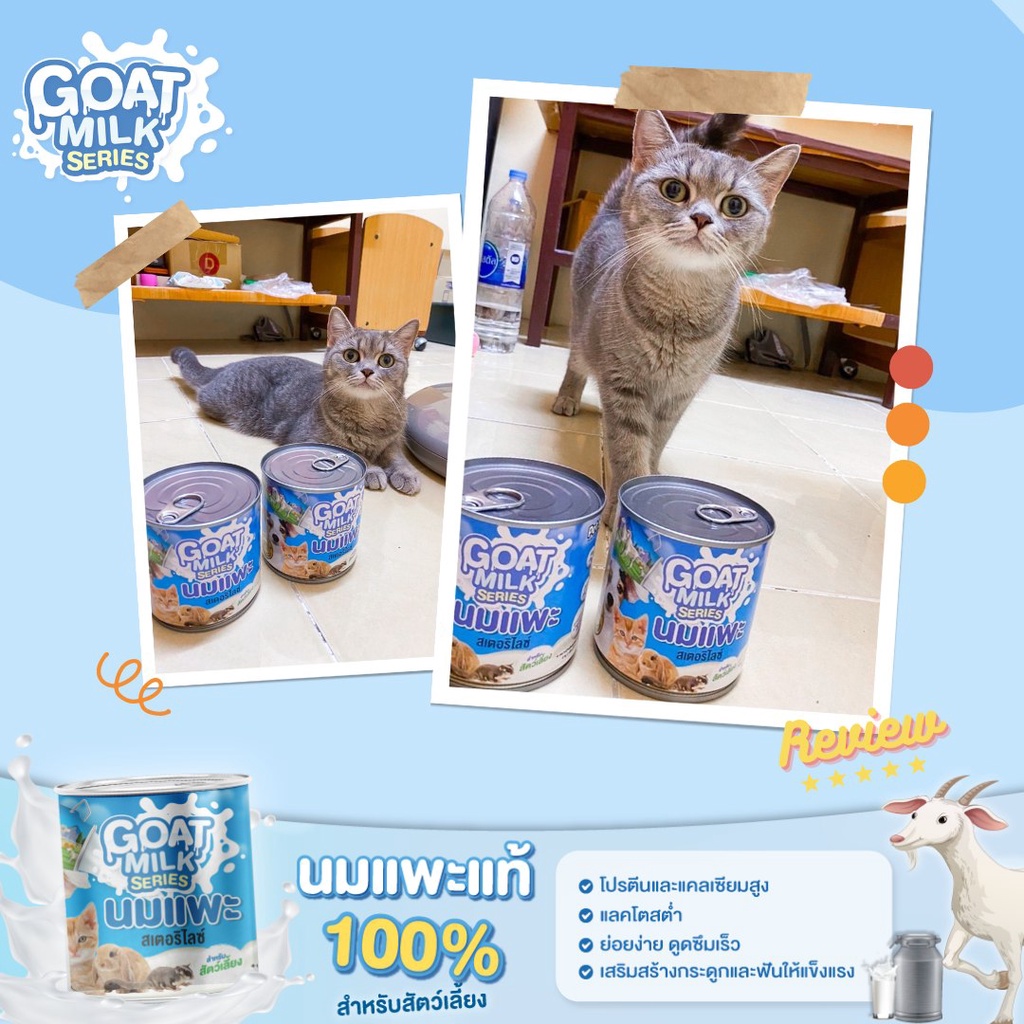 PET2GO SỮA DÊ THÁI LAN PHA SẴN LON 400ML CHO CHÓ MÈO