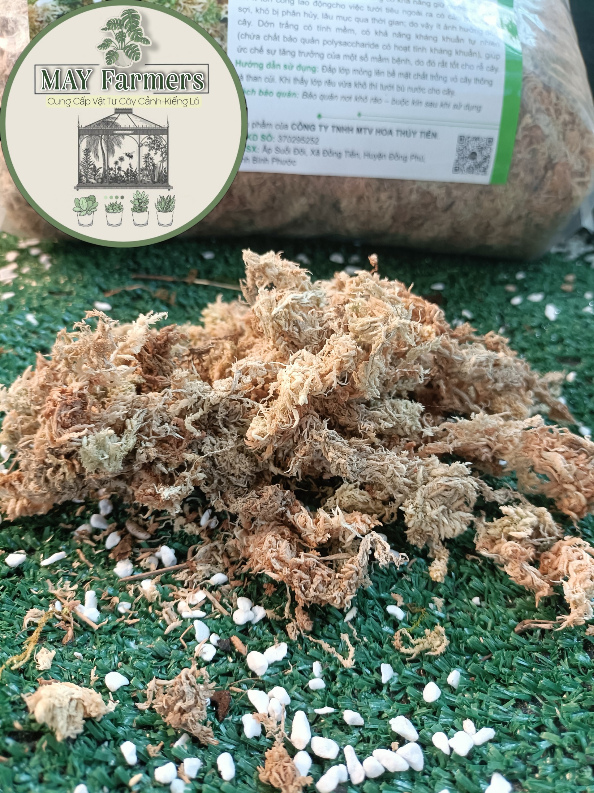 Dớn Trắng CHILE Chuyên Dùng Cho Phong Lan - Kiểng Lá ( Túi 100gr )