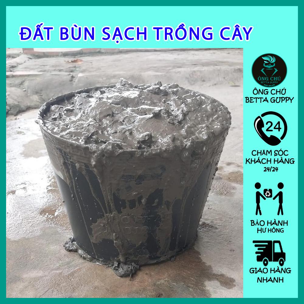 Phân bò hữu cơ - trồng cây
