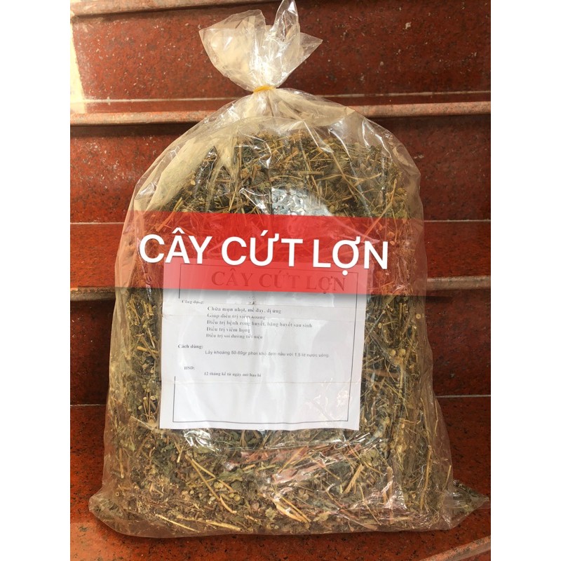 1kg cây cứt lợn hoa tím khô sạch, cây cỏ hôi - hàng nhà làm thủ công thu hái từ tự nhiên