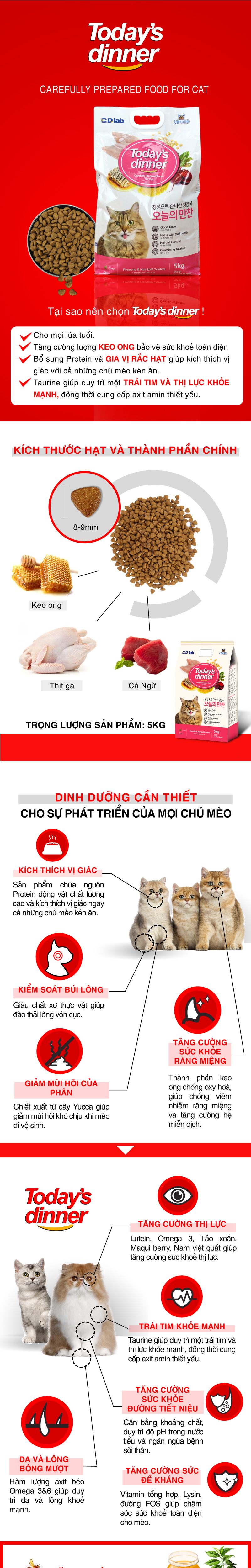 [Hoàn Tiền 10%] Hạt thức ăn cho mèo mọi lứa tuổi Today's dinner