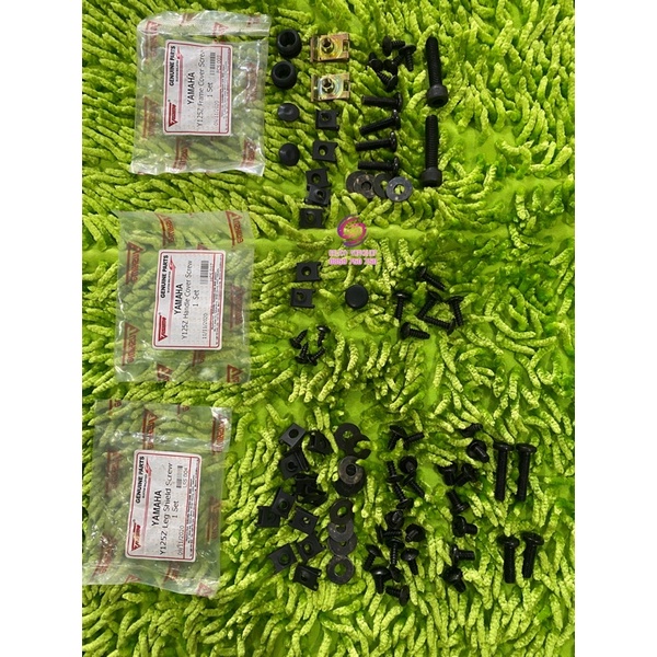 Ốc áo yaz zin tushima malaysia