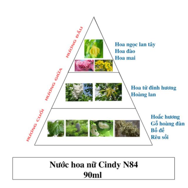 Nước hoa Cindy Sài Gòn Eau De Parfum 90ml N84
