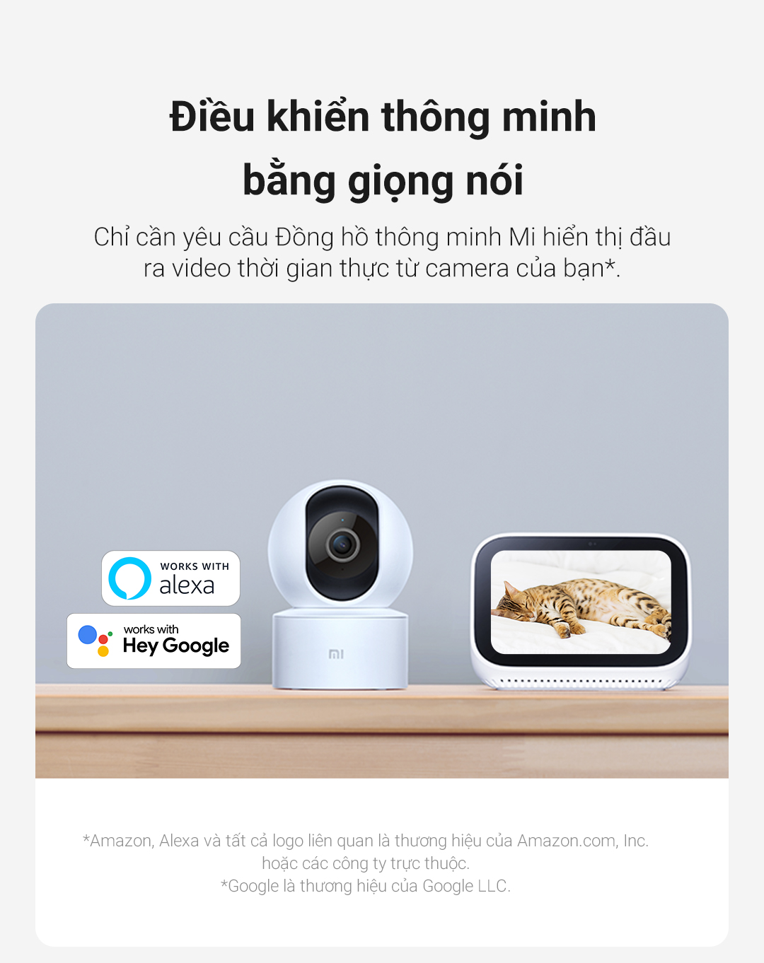 Camera giám sát Xiaomi 360 độ 1080p