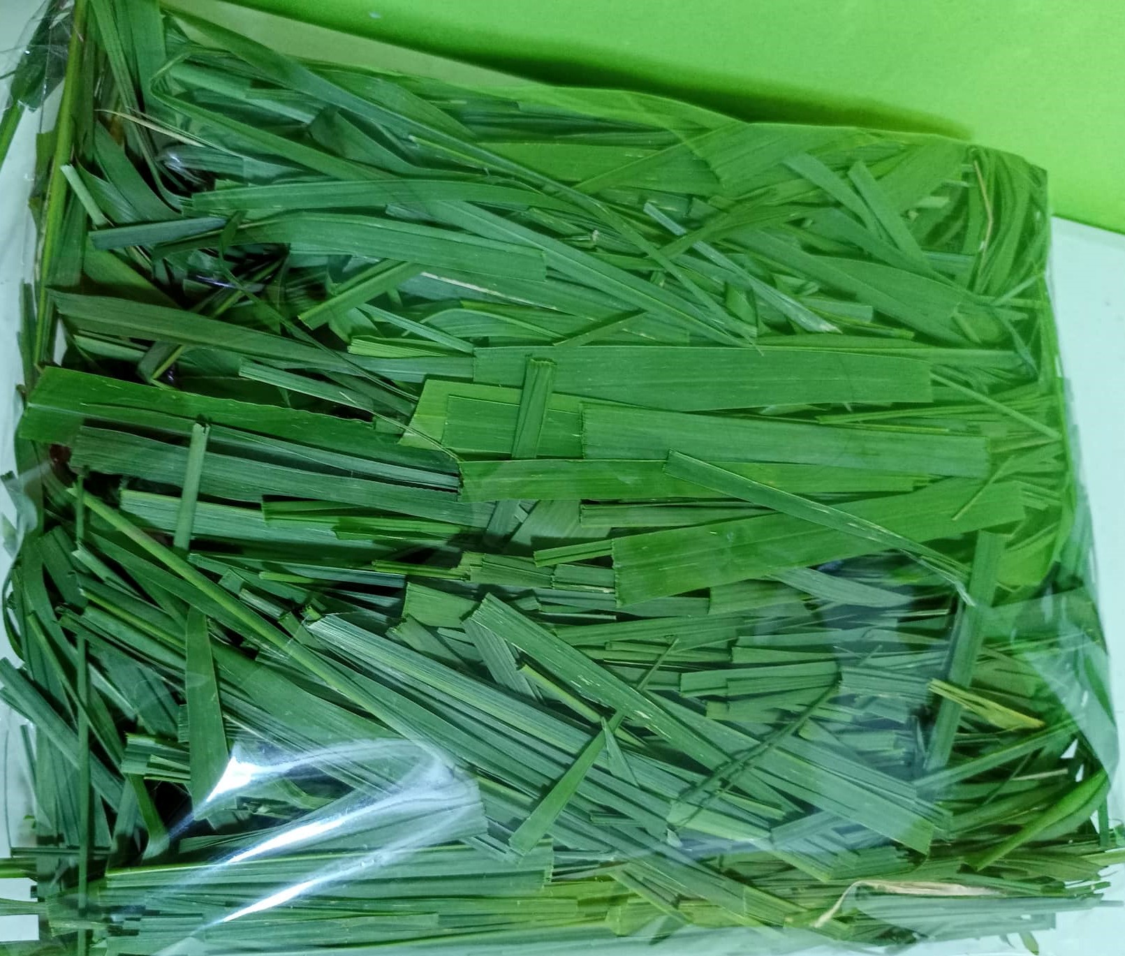 Hay Grass/Napier Grass for rabbit 1/2 kl Harvest today deliver tommorow Lazada PH