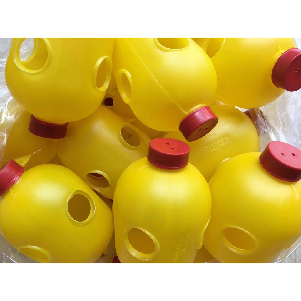 Set 2 chiếc Lồng bẫy ruồi vàng, ruồi đục trái (nhựa)