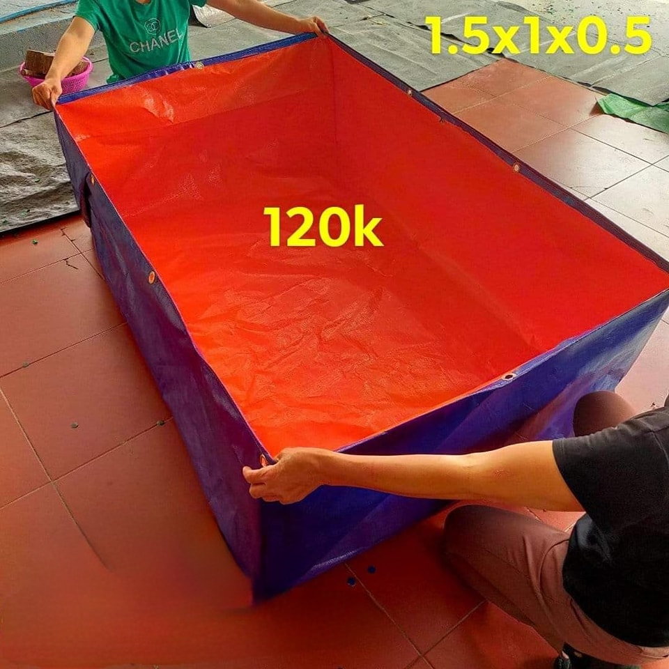 CHÁNG BỂ BẠT Nuôi Ốc, Lươn, Cá Giống