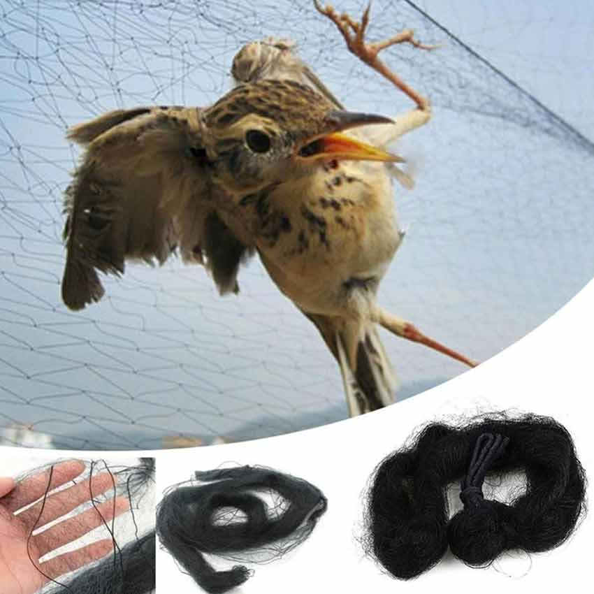 Local Warehouse】Multifunction Anti Bird Catcher Netting Net Bird