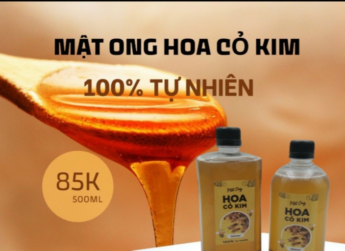 Mật Ong Hoa Xuyến Chi( cỏ Kim) 100% Nguyên Chất